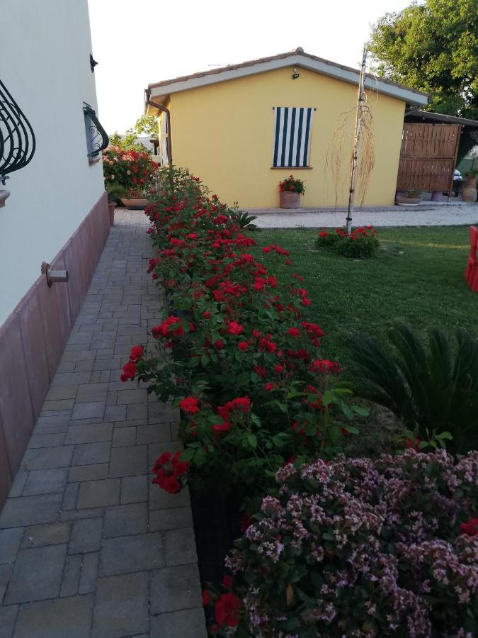 Casa Vacanze Angelica Ostra Vetere Exterior foto